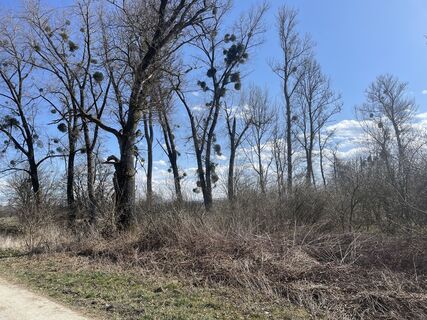 Fotografia z Florian Brandt na trase