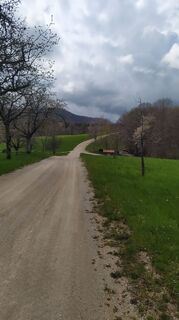 Photo de Ines Velicki le long du parcours