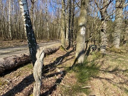 Wanderweg A2