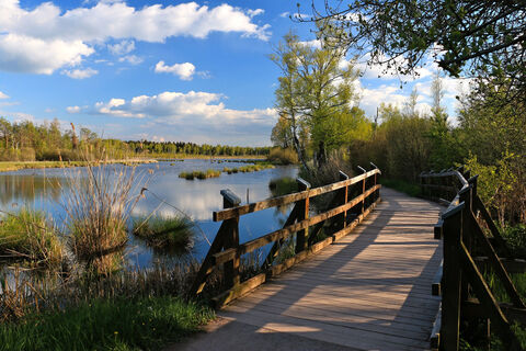 Schwenninger Moos