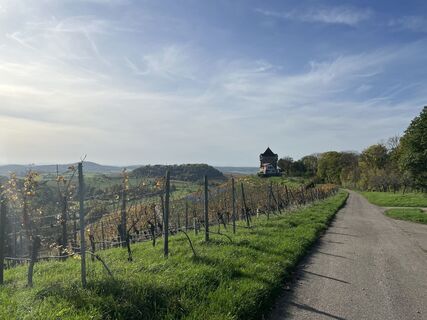 Foto von Sabine Dietzel entlang der Tour