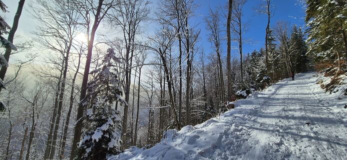 Foto von Peter Strohmayer entlang der Tour