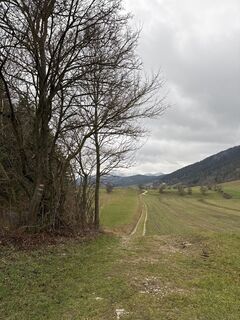 Photo de Andreas Vogel 1 le long du parcours