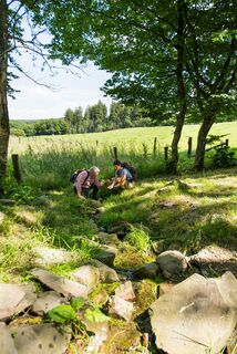 Als kleines Rinnsal verlässt die Lahn den Quellteich - Etappe 1