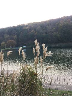 Foto van Gyula Gerecs langs de tour