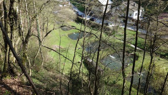 Blick auf die Fischteiche