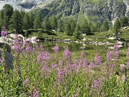 Photo de Heinrich Mocellini le long du parcours