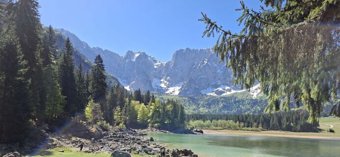 Fotografija s spletne strani Helmut na poti