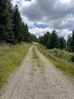 Foto da Ralph Wanderburg lungo il tour