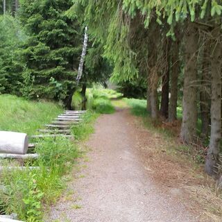 am Grünen Graben