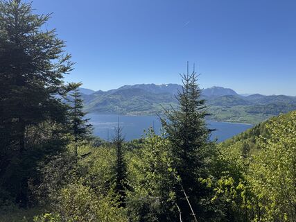 Foto von Bedy entlang der Tour