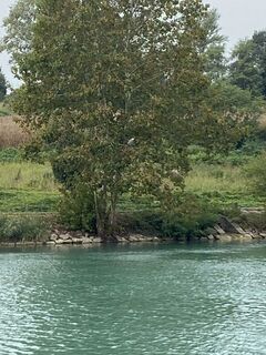 Foto von Paolo Moschen entlang der Tour