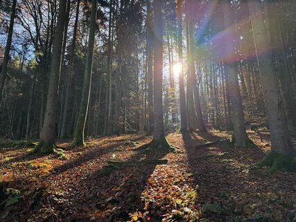 Foto de Robert Meier a lo largo del recorrido