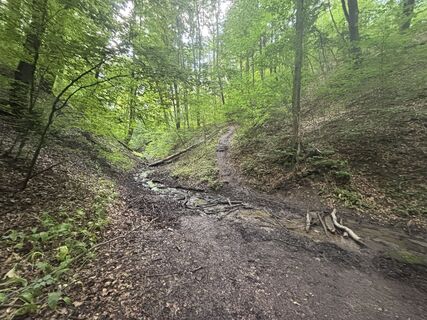 Fotografia z Reti Alicia na trase
