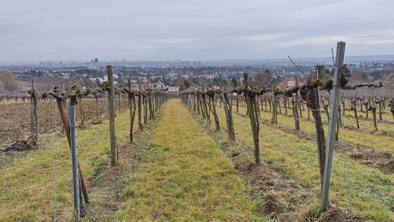 Foto de bergwolfi a lo largo del recorrido