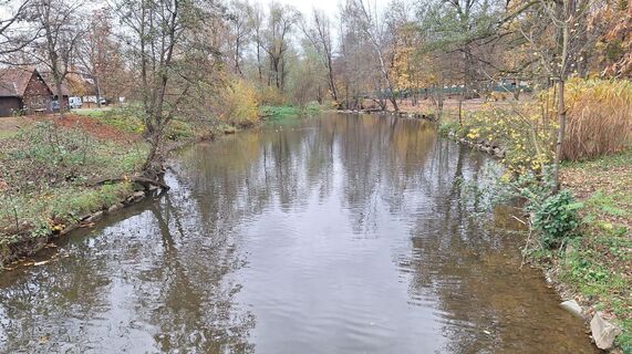 Fotografia z Karl Kriegseisen na trase