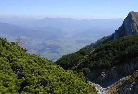 Ausblick ins Tal. 