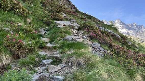 Fotografija s spletne strani Erich Graf 2 na poti