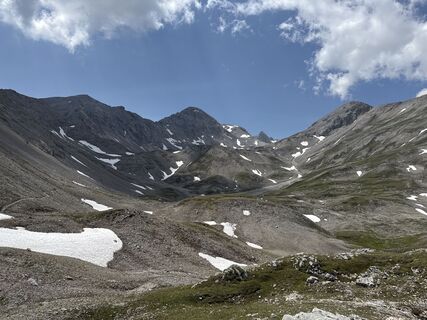 Foto da Grizzli lungo il tour
