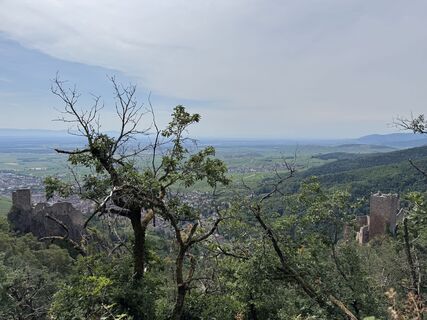 Photo de Adnan Cemal le long du parcours