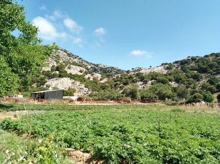 Photo de MopsBiene le long du parcours