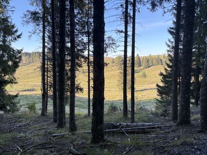 Foto von Abramo Di Bernardo entlang der Tour