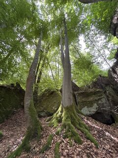 Foto von Robert Christiaans entlang der Tour