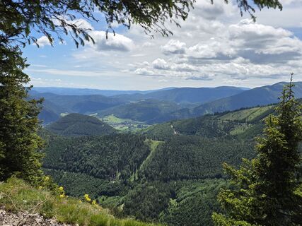 Photo de FritzB le long du parcours