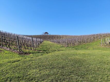 Fotografia z Katja Klemenčič na trase