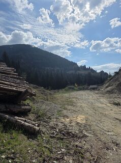 Foto de Sebastian Mucha a lo largo del recorrido