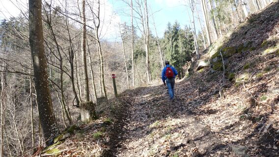 am Weg zum Friedrichsfelsen