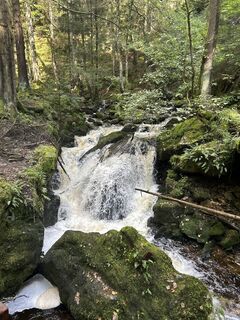 Fotografija s spletne strani Martina Wolke na poti