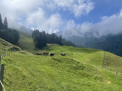 Fotografija s spletne strani Ewelina D na poti