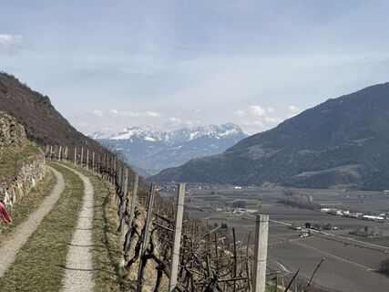 Foto von Roman Treml entlang der Tour