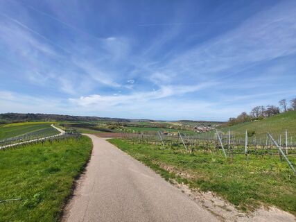 Photo de Anke Hetzer le long du parcours