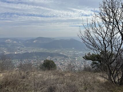Zdjęcie z Agnese Martinelli wzdłuż trasy
