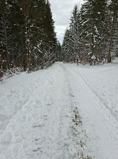 Foto von Georg Lenger entlang der Tour
