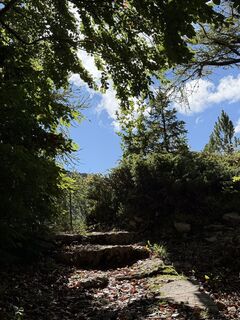 Foto von Kim-LeaWillms entlang der Tour