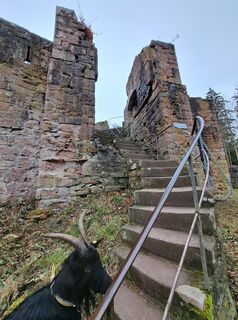 Fotografija s spletne strani Schwartzhox na poti