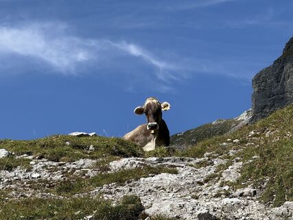 Photo de Norbert Herbig le long du parcours