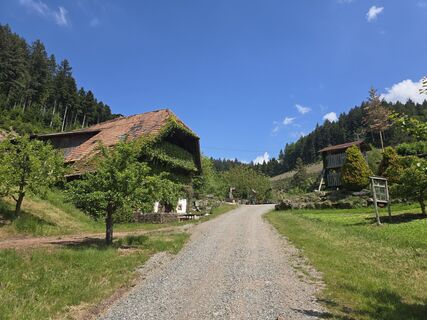 Fotografie z Michel Kennel na trase