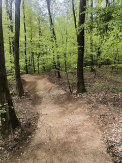 Photo de Anže Bizjak le long du parcours
