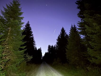 Foto von Dani Geiger / Natur_erleben_dg entlang der Tour