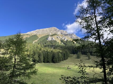 Photo de A Aichinger 1 le long du parcours