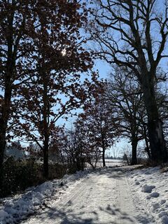Foto de Denise Miller a lo largo del recorrido