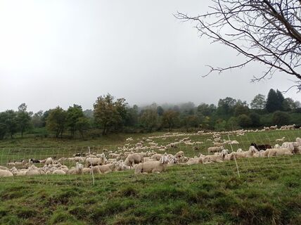 Foto von Aner entlang der Tour