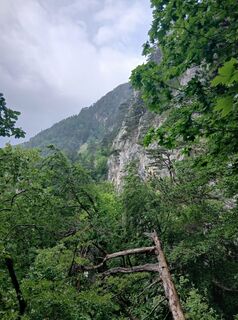 Foto von Andreas Cap entlang der Tour