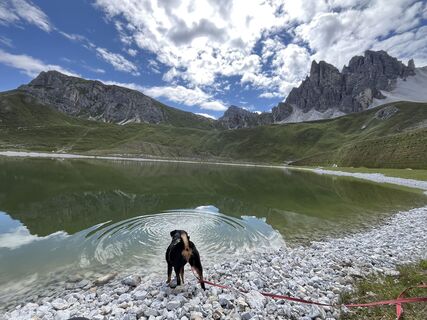 Photo de Monika Loeb le long du parcours