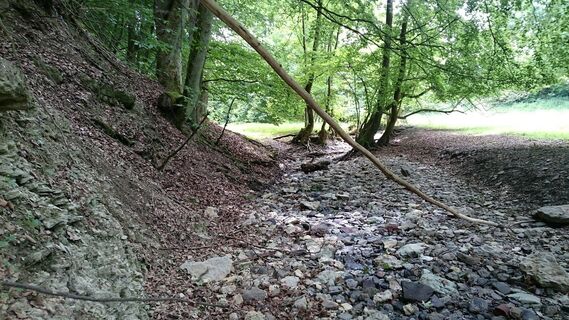Trockene Werra im Karst