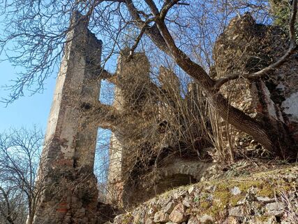 Fotografija s spletne strani Andrea Rothbauer na poti